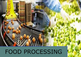 food-processing